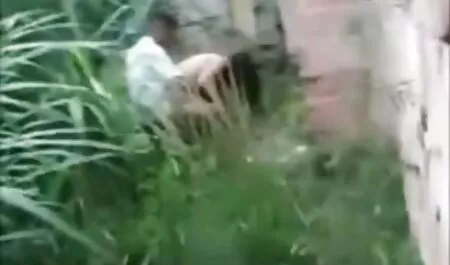 Morgana phim sex jav nhat ban