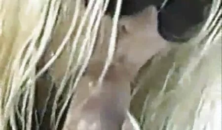 Whitney tai phim sex nhat bản