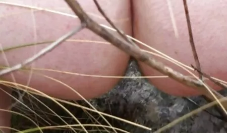 Nastyaworld. GM phim sex hot nhật bản