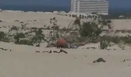 Tốt nước mát-xa phim sex nhật mới