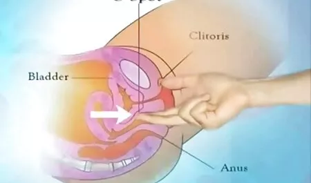 Mất phim xes japan